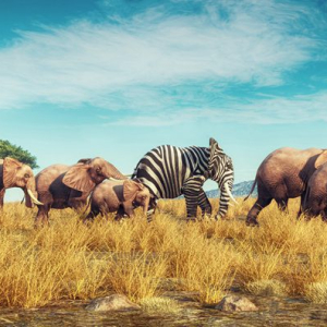 Elephant with a zebra skin into a crowd . Think outside the box concept . This is a 3d render illustration