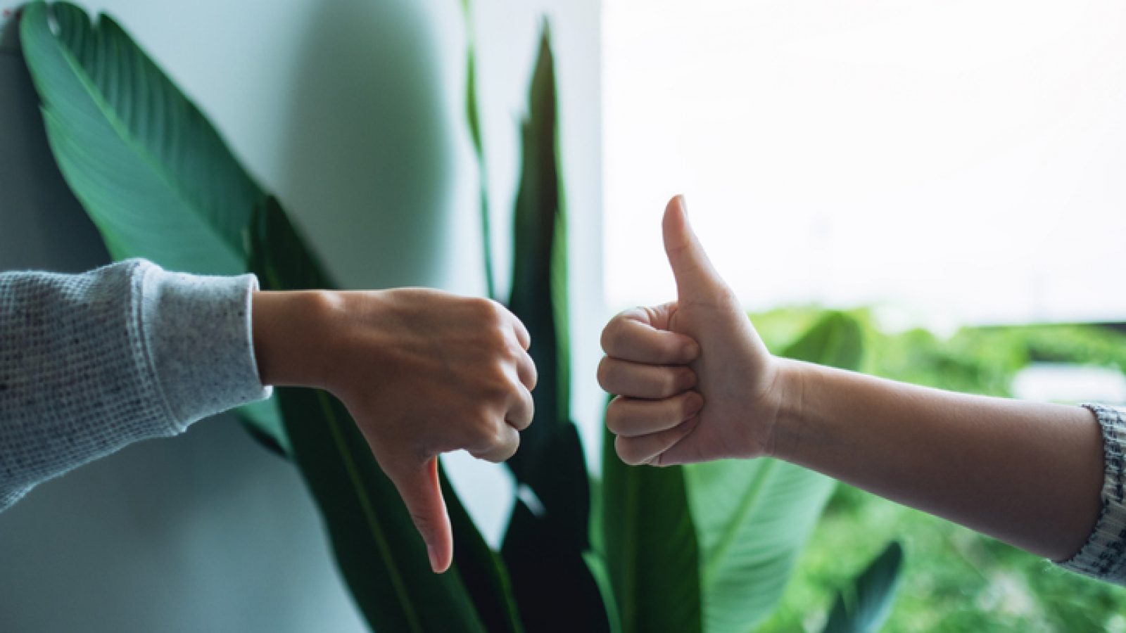 spätná väzba a jej využitie ako dôležitý trend v marketingu pre rok 2021 spätná väzba a jej využitie ako dôležitý trend v marketingu pre rok 2021