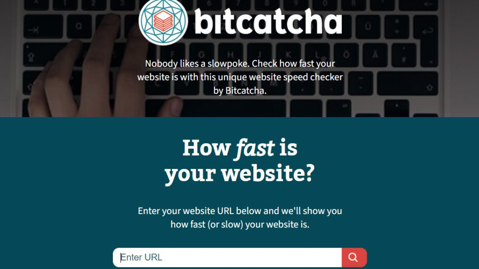bitcatcha-rychlost-hostingu
